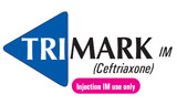 Image module